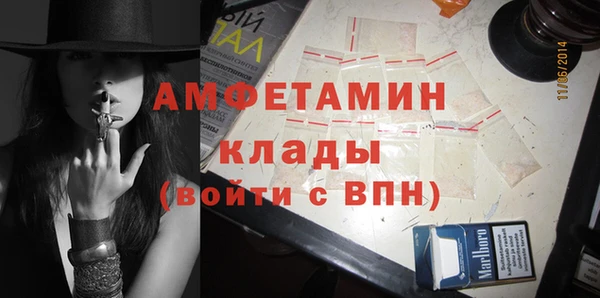 сатива Алзамай