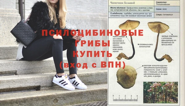 бутират Алексин