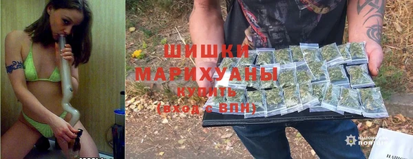 гидра Алексеевка