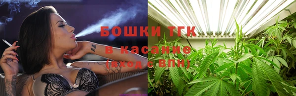 гидра Алексеевка