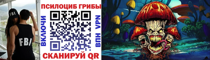 Псилоцибиновые грибы Psilocybe где можно купить наркотик Сенгилей